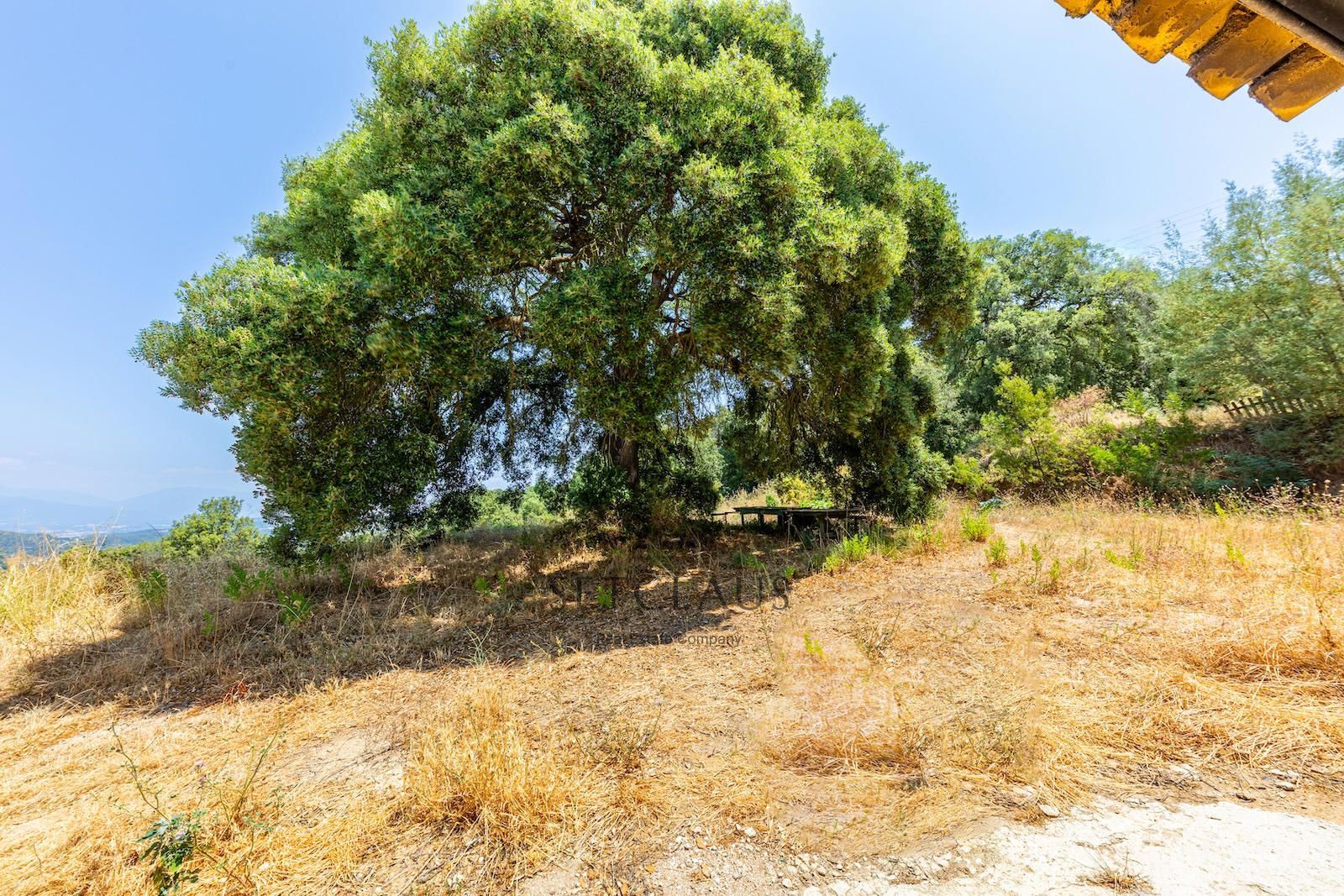 Comprar VILASSAR DE DALT. Two independent properties. foto 54