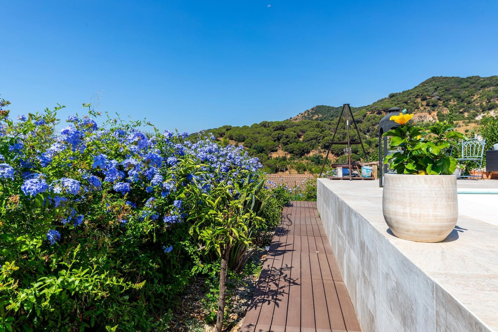 Inmueble ALELLA. Views and tranquility. foto 7