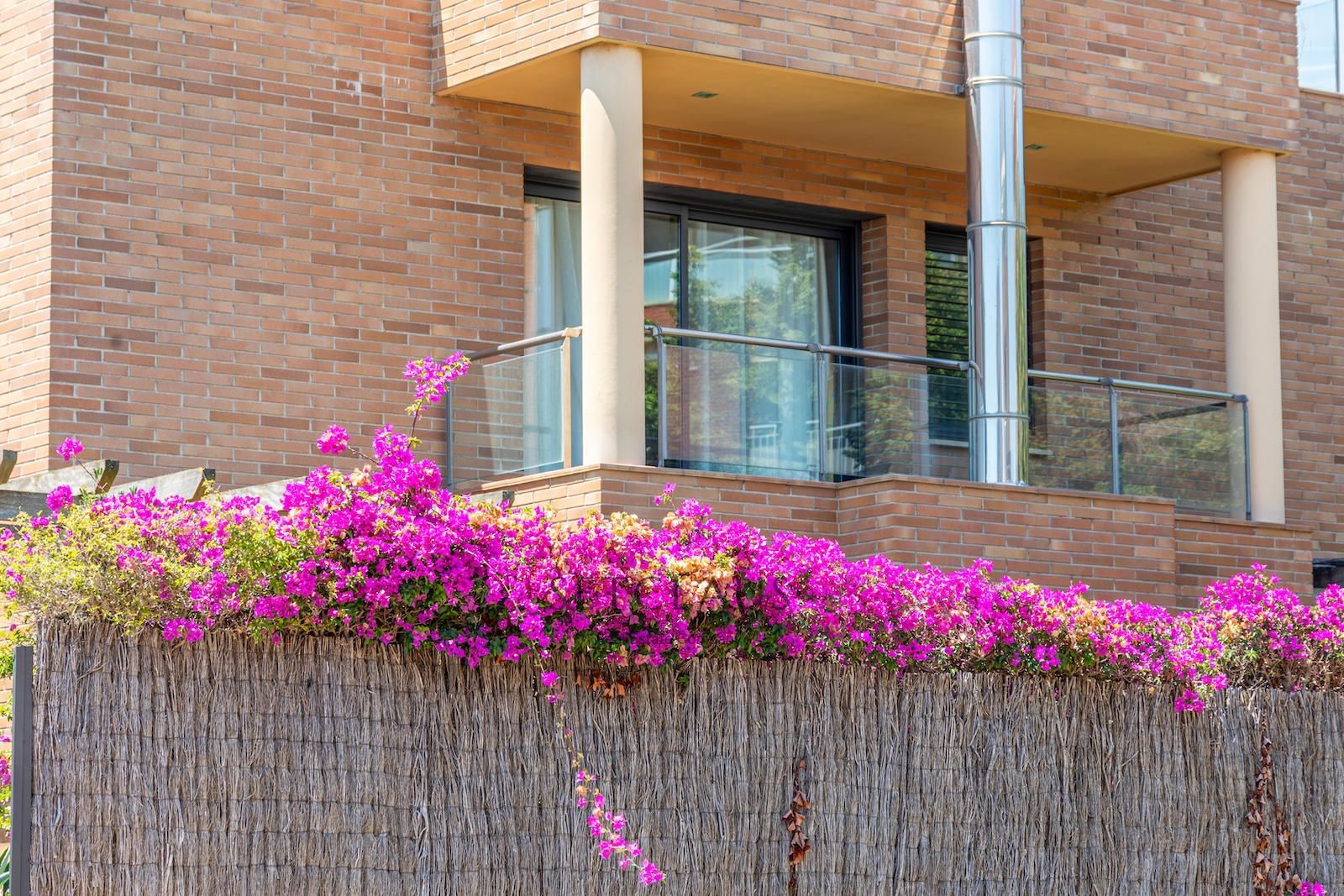 Comprar ALELLA. Espacios amplios, ascensor, y zona comunitaria foto 20