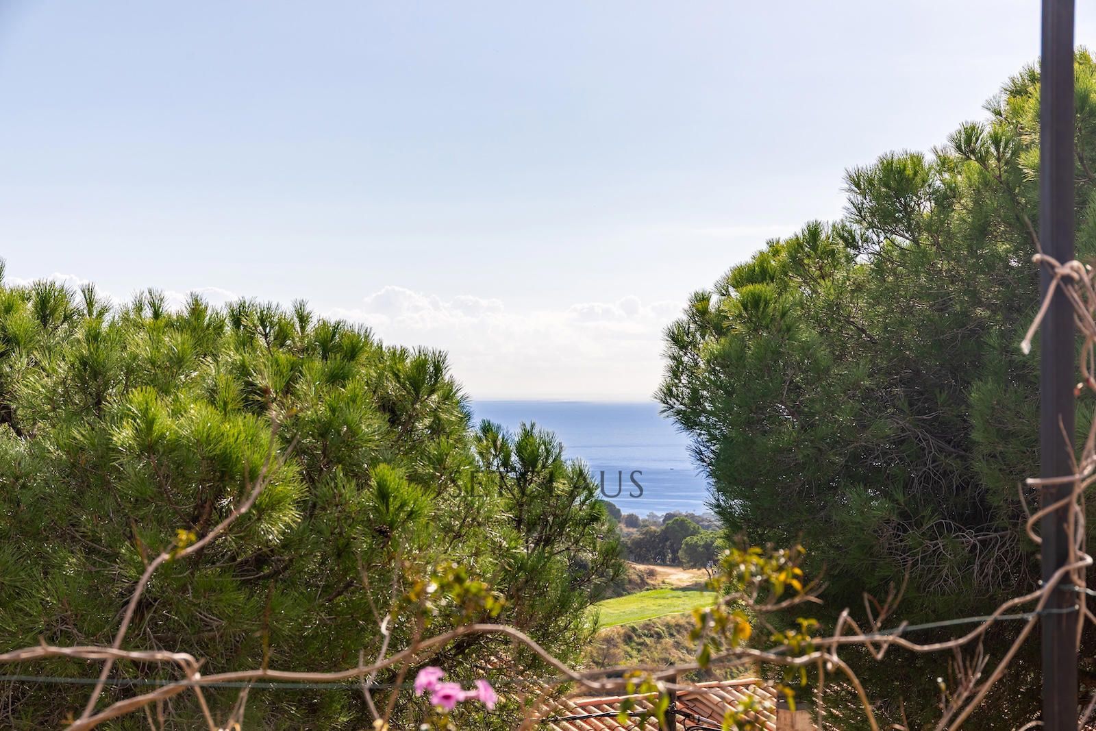 Comprar Casa independent en una sola planta amb jardí, piscina i vistes al mar a Can Bruguera (Mataró) foto 3