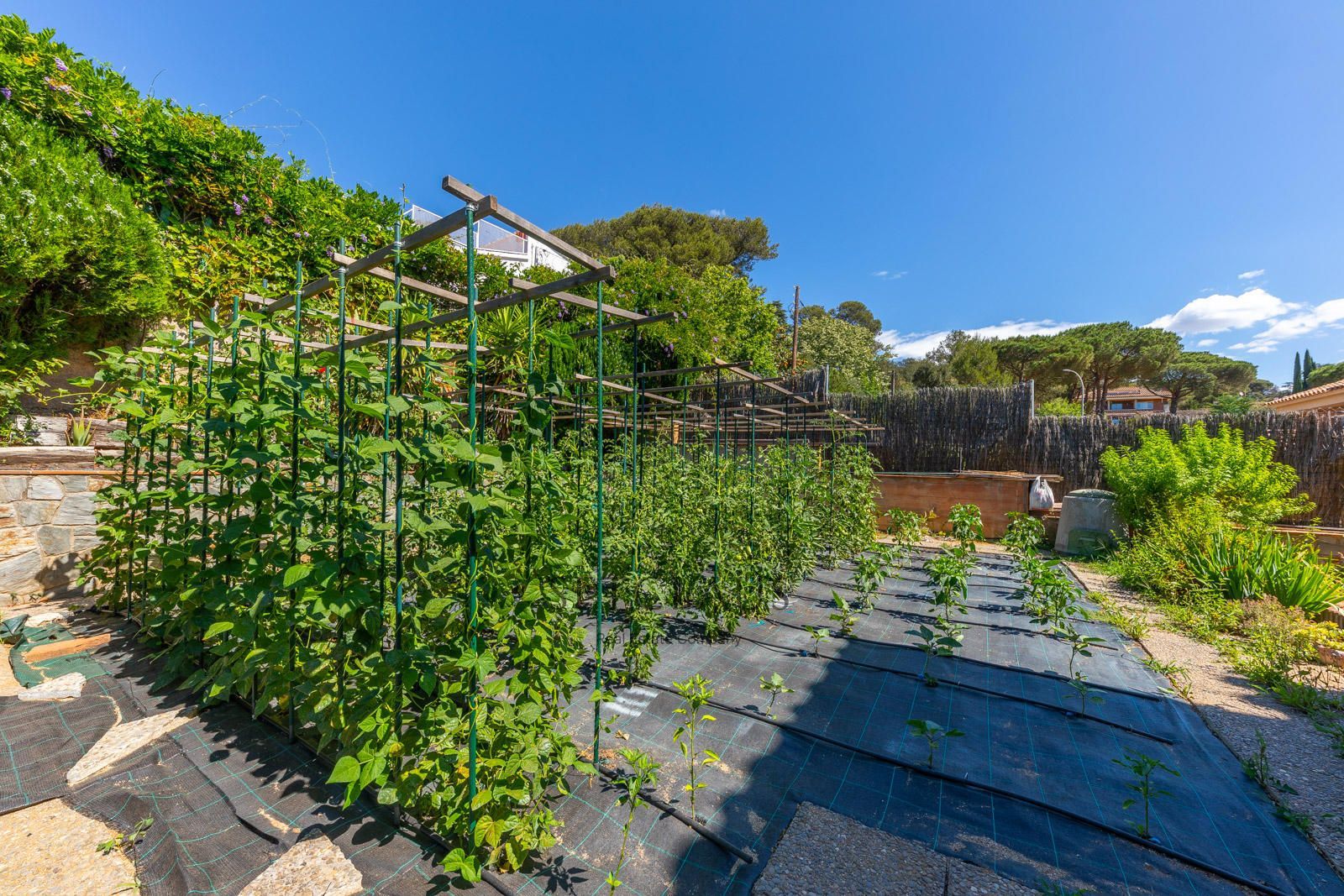 Inmueble VALLROMANES. Central location, with plenty of natural light and panoramic views foto 43