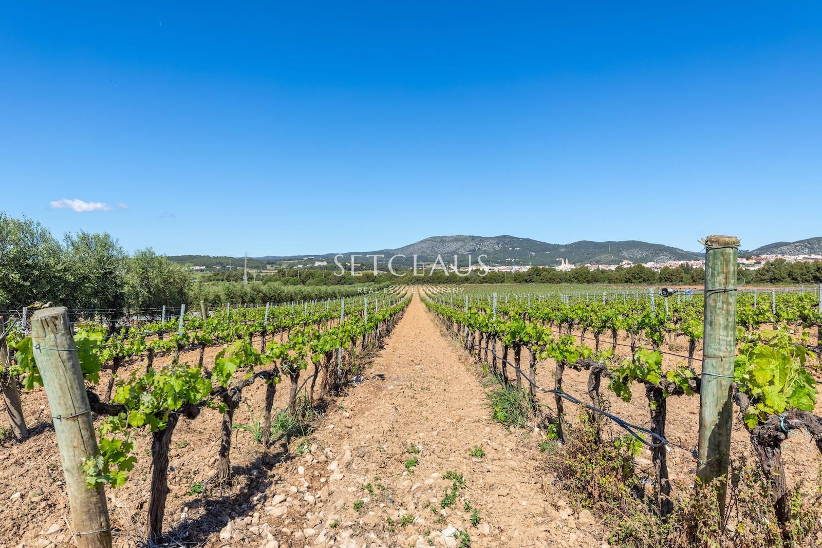 Comprar Casa de pueblo con caracter en entorno histórico foto 57