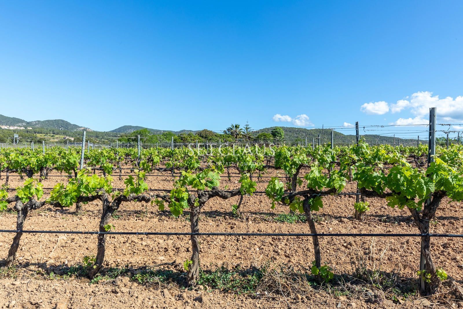 Comprar Casa de pueblo con caracter en entorno histórico foto 58