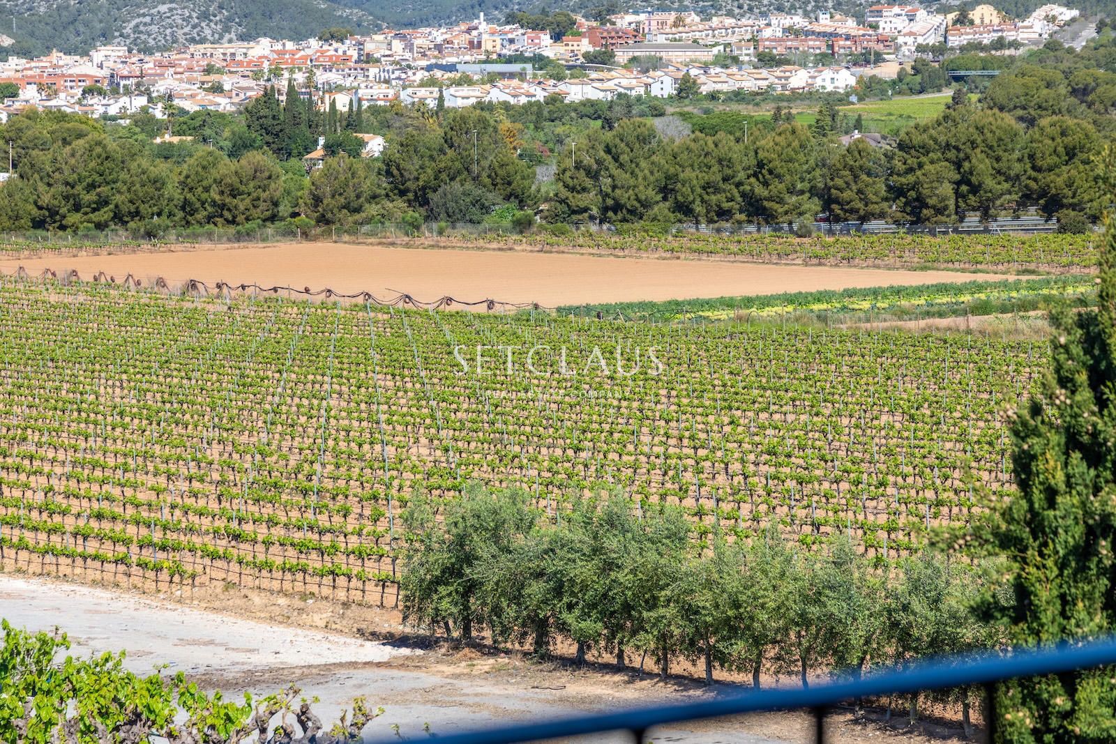 Comprar Casa de pueblo con caracter en entorno histórico foto 65