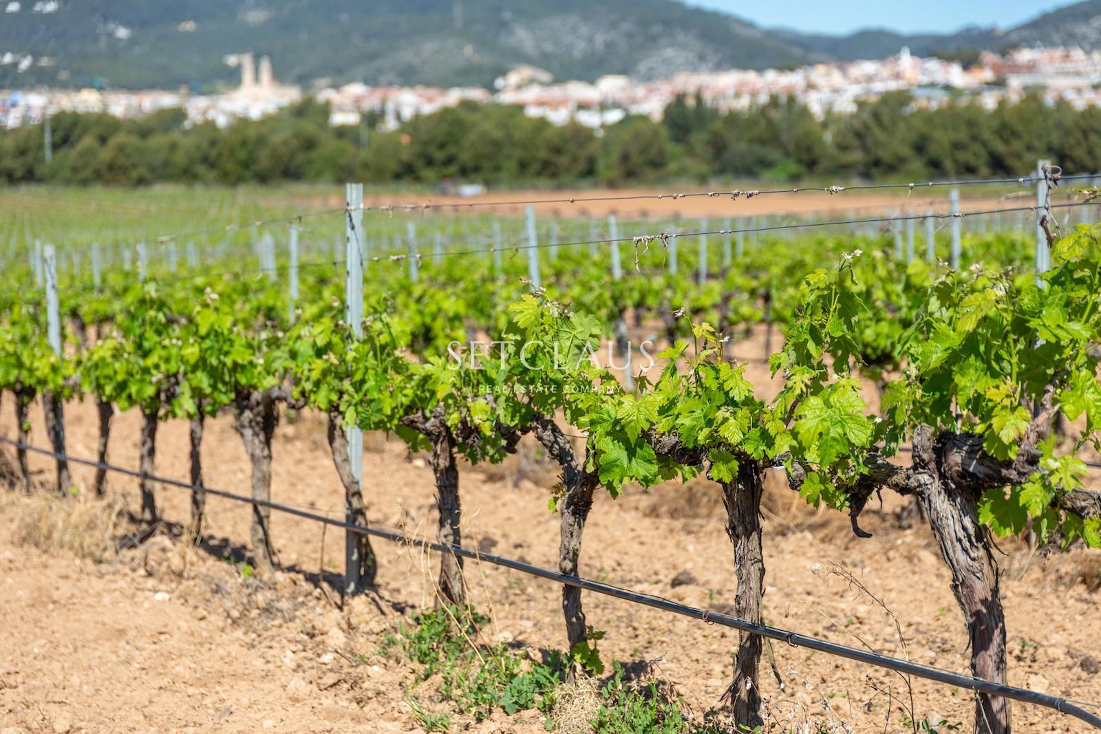 Comprar Casa de pueblo con caracter en entorno histórico foto 56