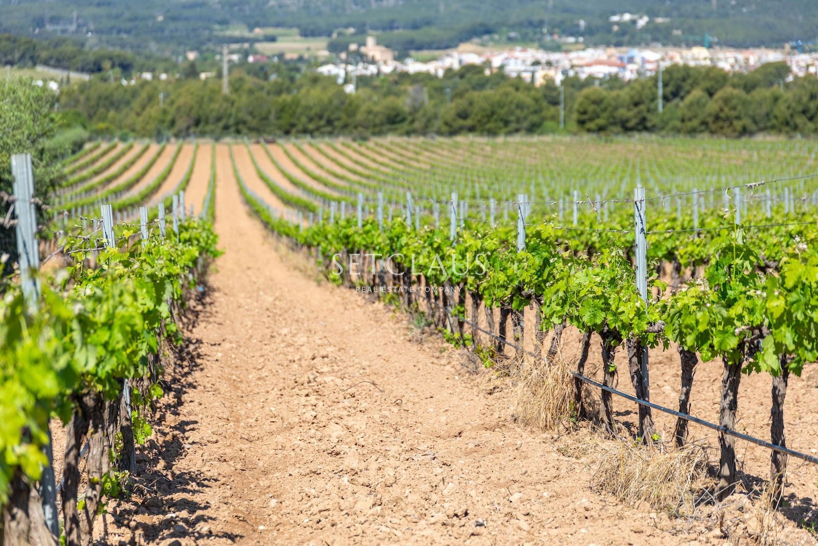 Comprar Casa de pueblo con caracter en entorno histórico foto 2