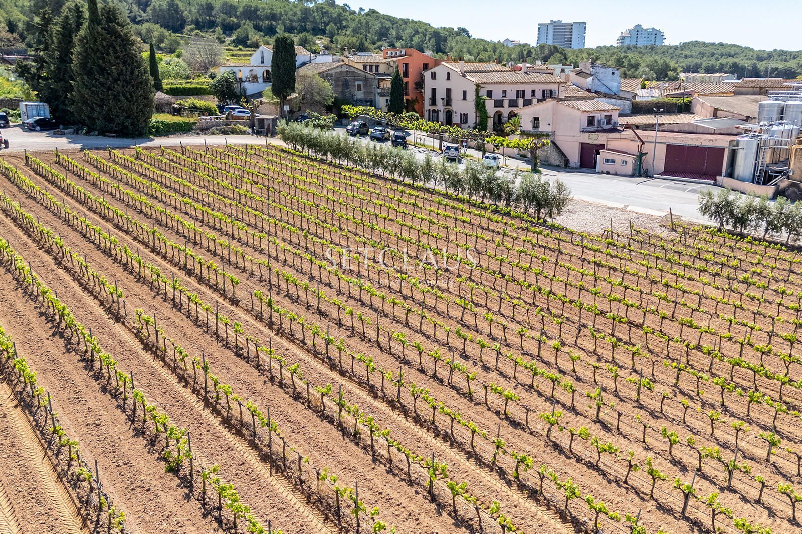 Comprar Casa de pueblo con caracter en entorno histórico foto 63