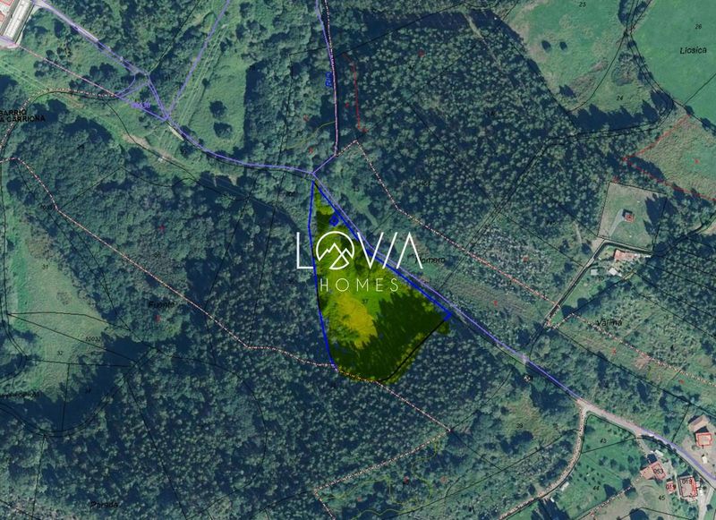 Parcela en venta Avilés, Asturias. Ref: 2566. LOVIA HOMES