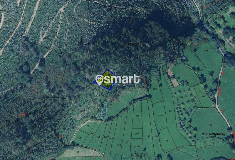 Parcela en venta Candamo, Asturias. Ref: 2881. SMART ESTATE