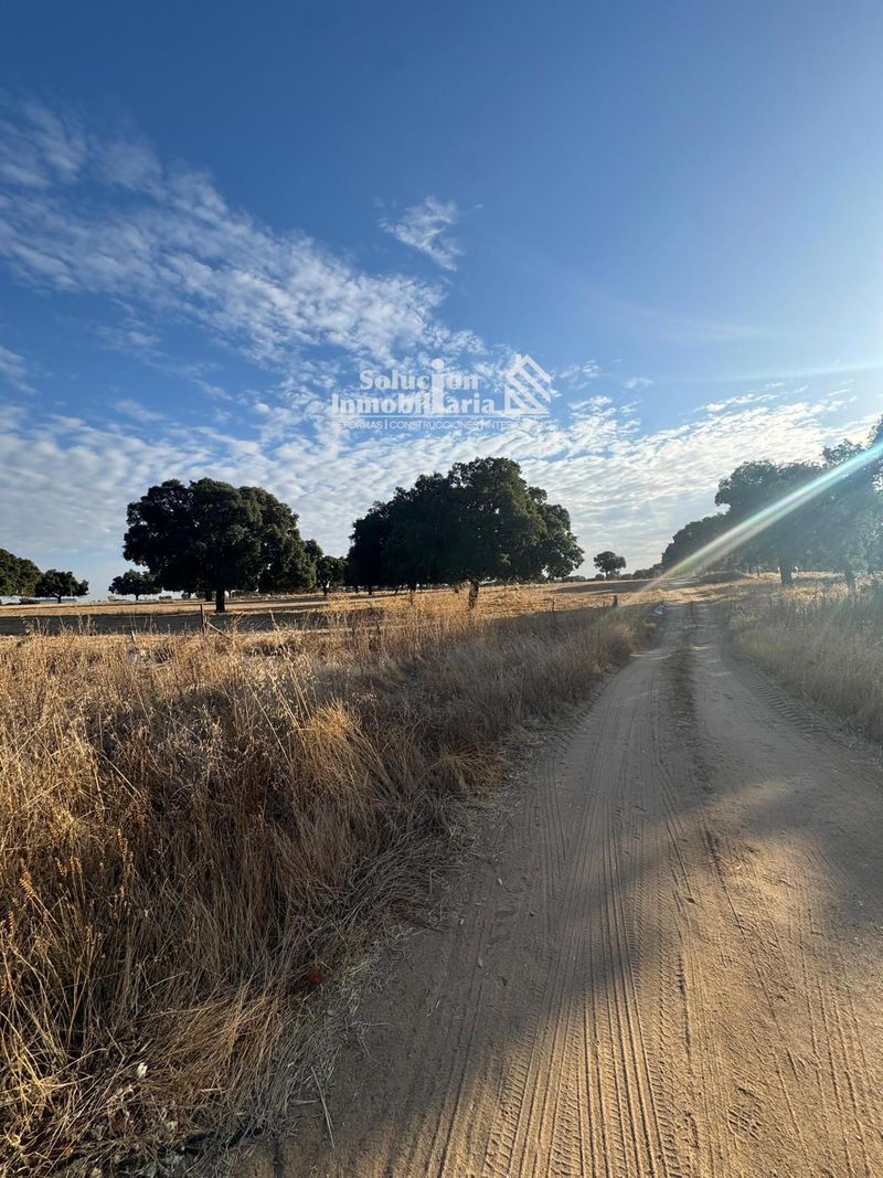 Parcela en venta Villanueva De Cañedo, Salamanca. Ref: 3616. Solución Inmobiliaria