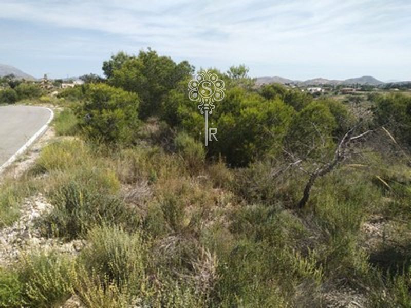 Parcela en venta Alicante/Alacant, Alicante. Ref: 1028. INVERSIONES INMOBILIARIAS SRNIETO