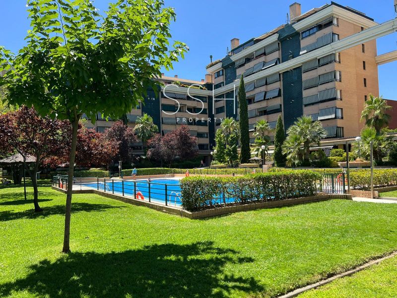 Piso en alquiler Madrid. Ref: 1254. SSH PROPERTY 