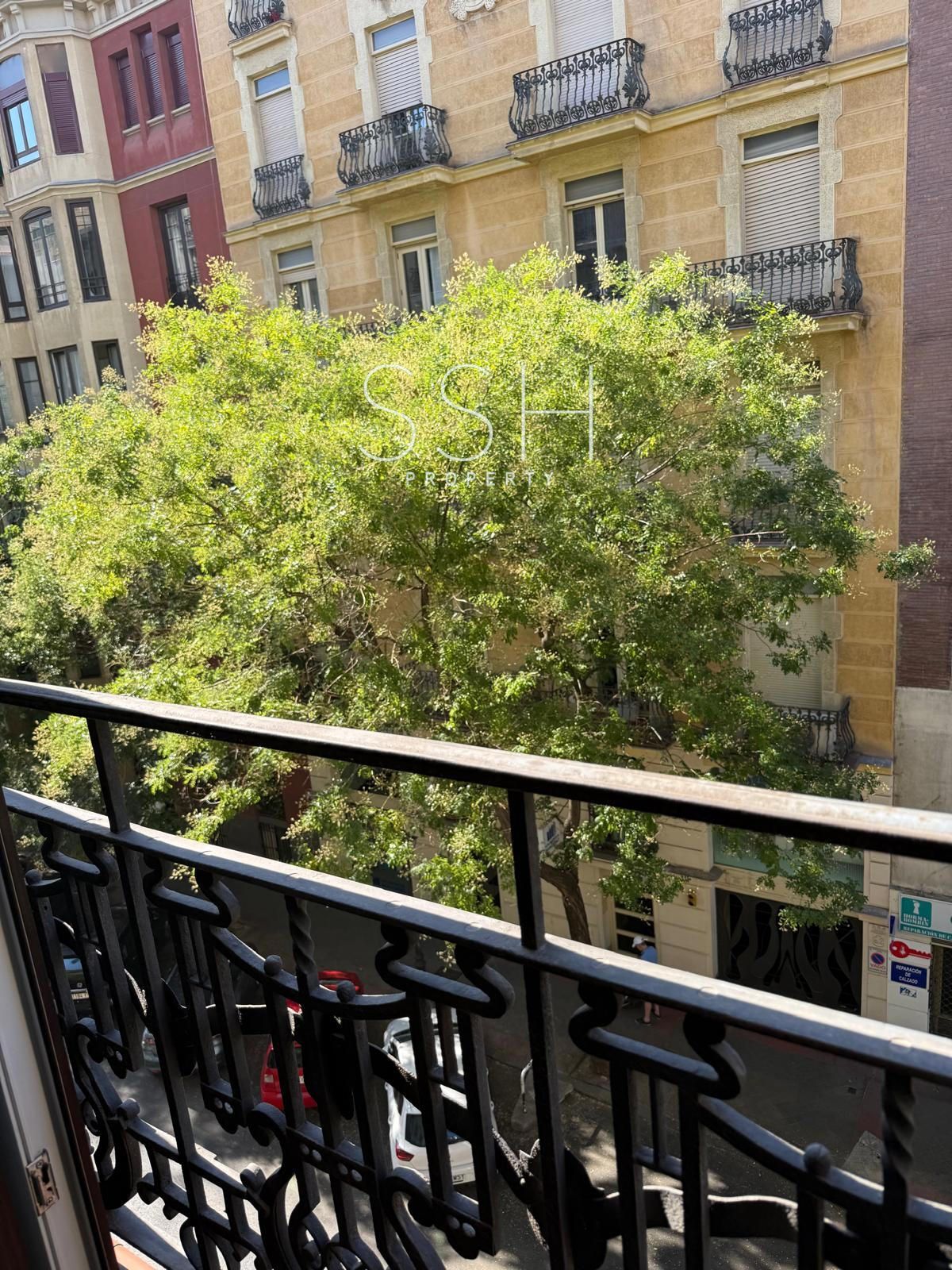 Encantador piso en alquiler en Barrio de Salamanca