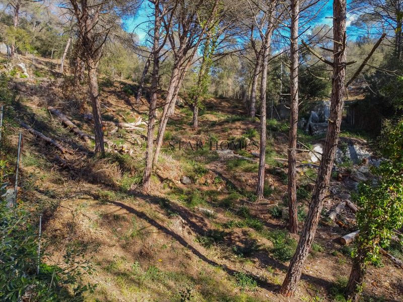 Terreny en venda Dosrius, Barcelona. Ref: 1054. Star Homes Immobiliària