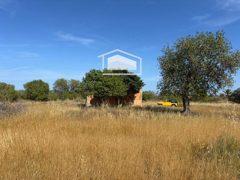 Grundstück zu verkaufen Campos, Baleares. Ref: 1129. SUD Mallorca