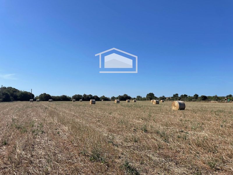 Grundstück zu verkaufen Campos, Baleares. Ref: 1200. SUD Mallorca