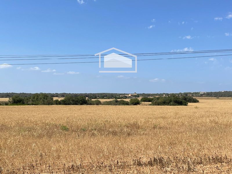 Parcelle en vente Ses Salines, Baleares. Ref: 1203. SUD Mallorca
