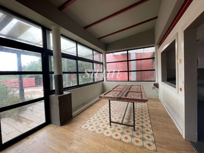 SWAN PROPERTY SERVICES