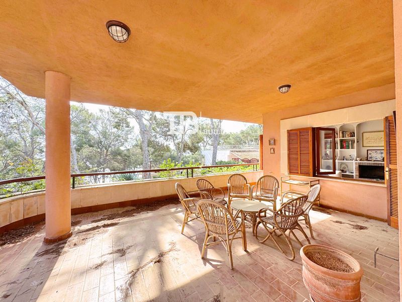 Casa en venta Calvià, Baleares. Ref: 1302. Taylor Building