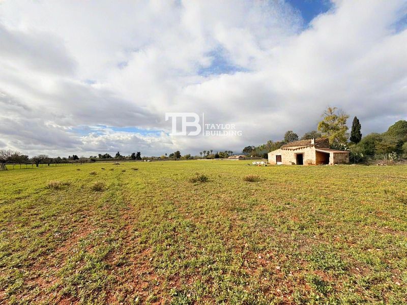 Plot for sale Inca, Baleares. Ref: 1377. Taylor Building