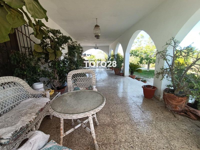 Chalet Independiente en venta Mutxamel, Alicante. Ref: 1676. Inmobiliaria Toro28 S.L.