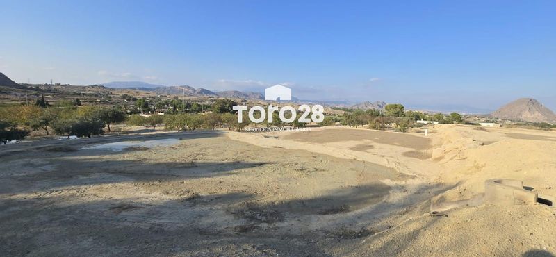 Parcela en venta Elche/Elx, Alicante. Ref: 1682. Inmobiliaria Toro28 S.L.