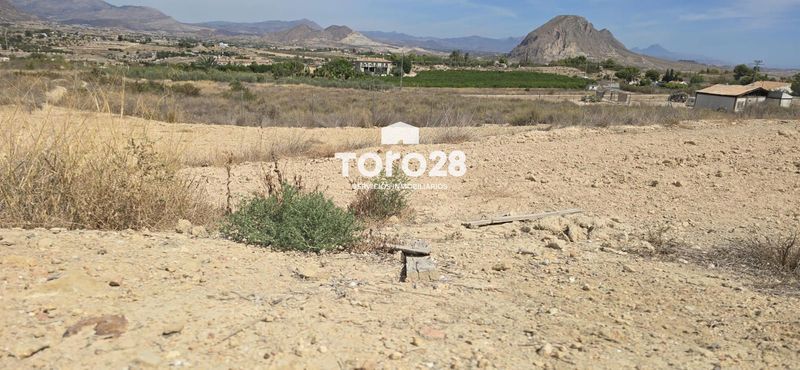 Parcela en venta Elche/Elx, Alicante. Ref: 1691. Inmobiliaria Toro28 S.L.