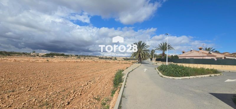 Plot for sale Elche/Elx, Alicante. Ref: 1711. Inmobiliaria Toro28 S.L.