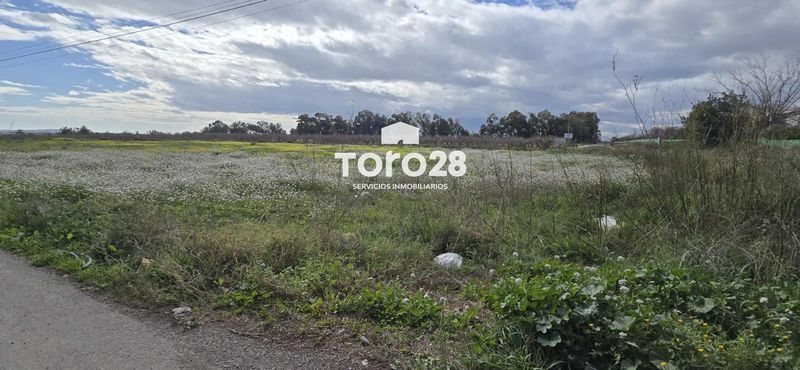 Plot for sale Crevillent, Alicante. Ref: 1713. Inmobiliaria Toro28 S.L.