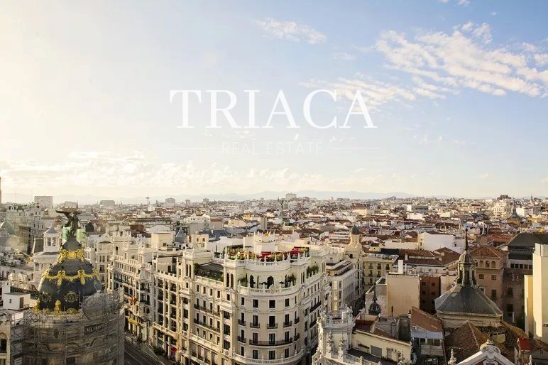 Flat for sale Madrid. Ref: 1134. Triaca Real Estate