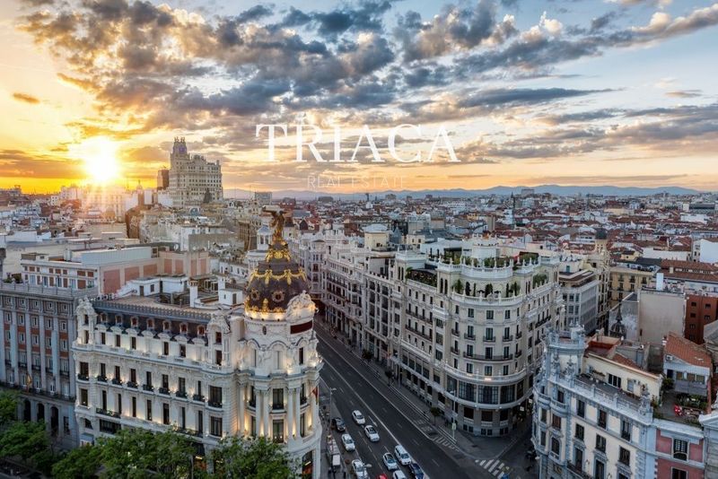 Penthouse for sale Madrid. Ref: 1182. Triaca Real Estate
