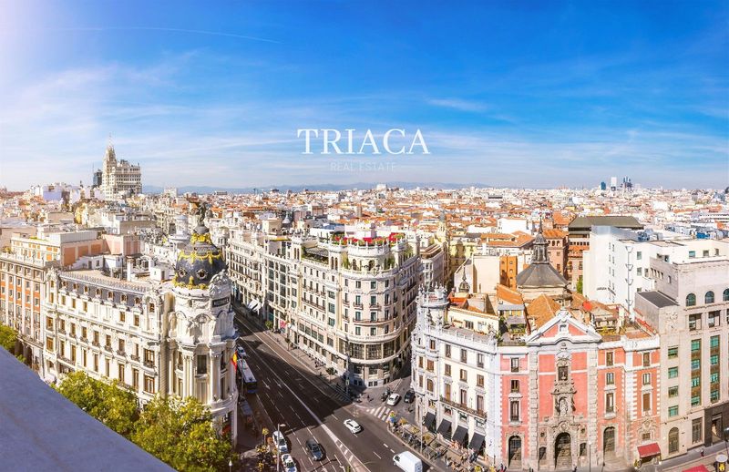 Flat for sale Madrid. Ref: 1194. Triaca Real Estate