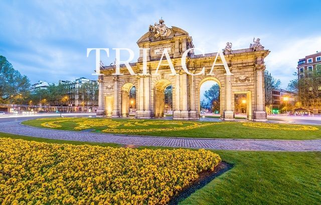 Penthouse for sale Madrid. Ref: 1205. Triaca Real Estate