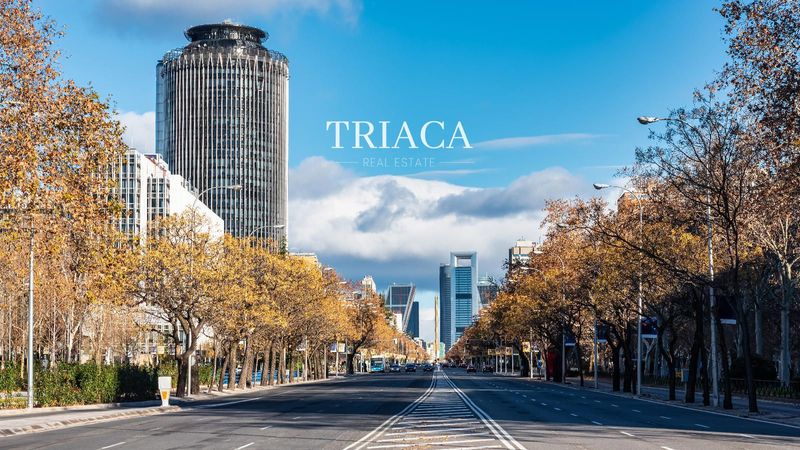 Flat for sale Madrid. Ref: 1319. Triaca Real Estate