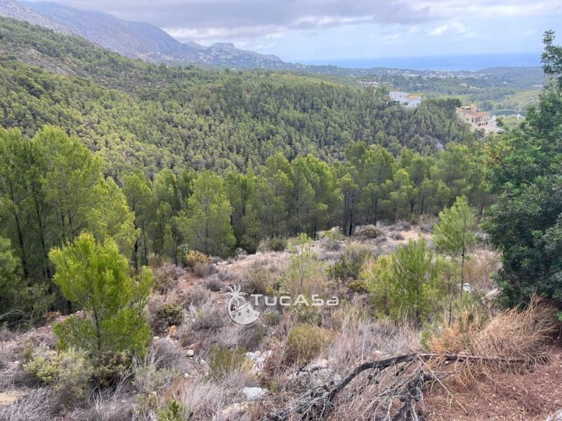 Parcela en venta Callosa d