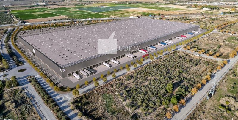 Nau Industrial en lloguer Reus, Tarragona. Ref: 1242. UBICAT, NAUS INDUSTRIALS