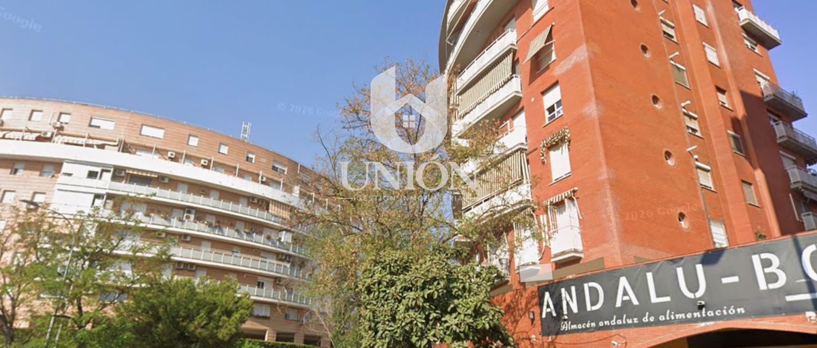 CALLE RUBELITA - Foto 1