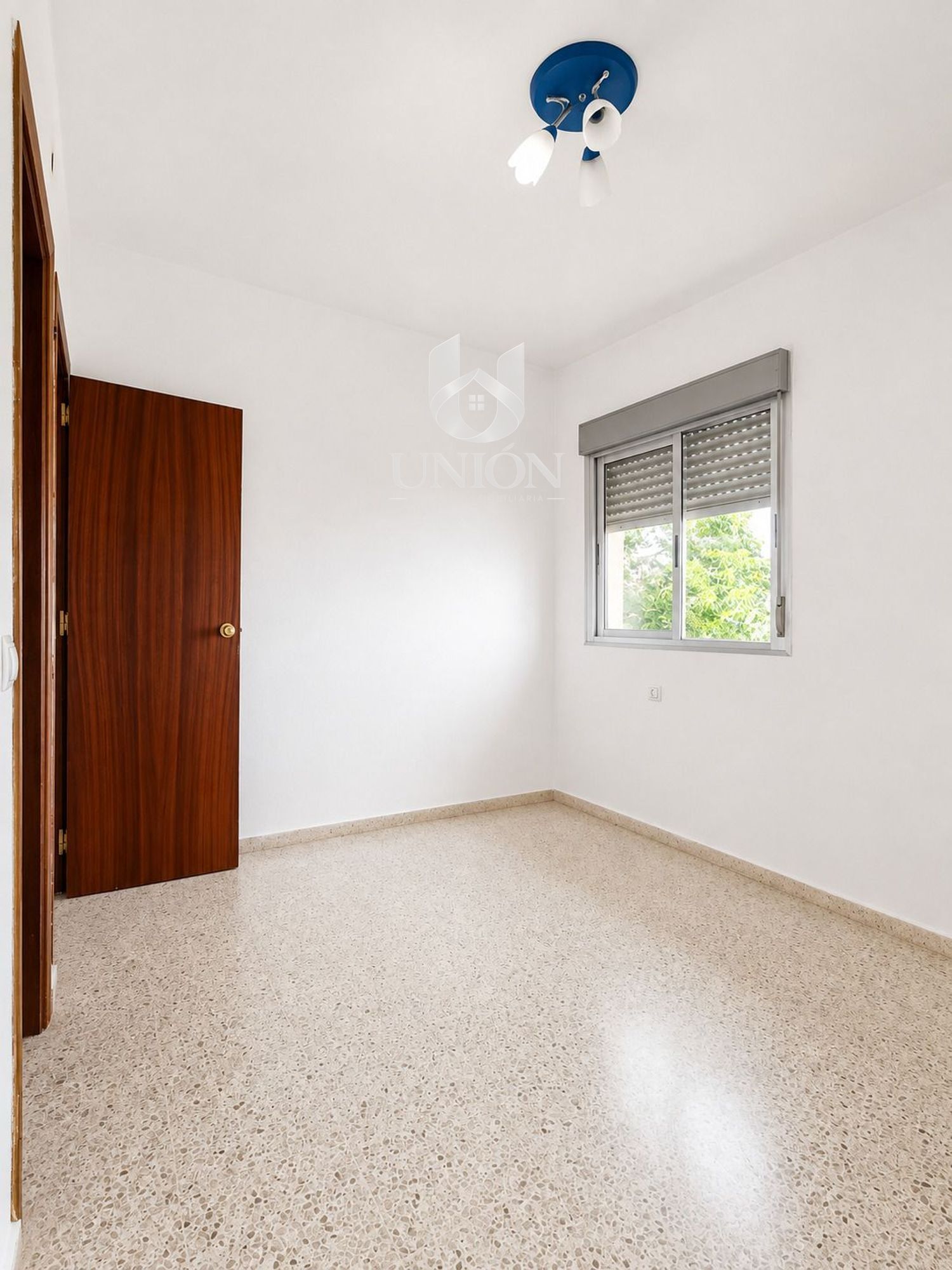 EMILIO LEMOS - Foto 10
