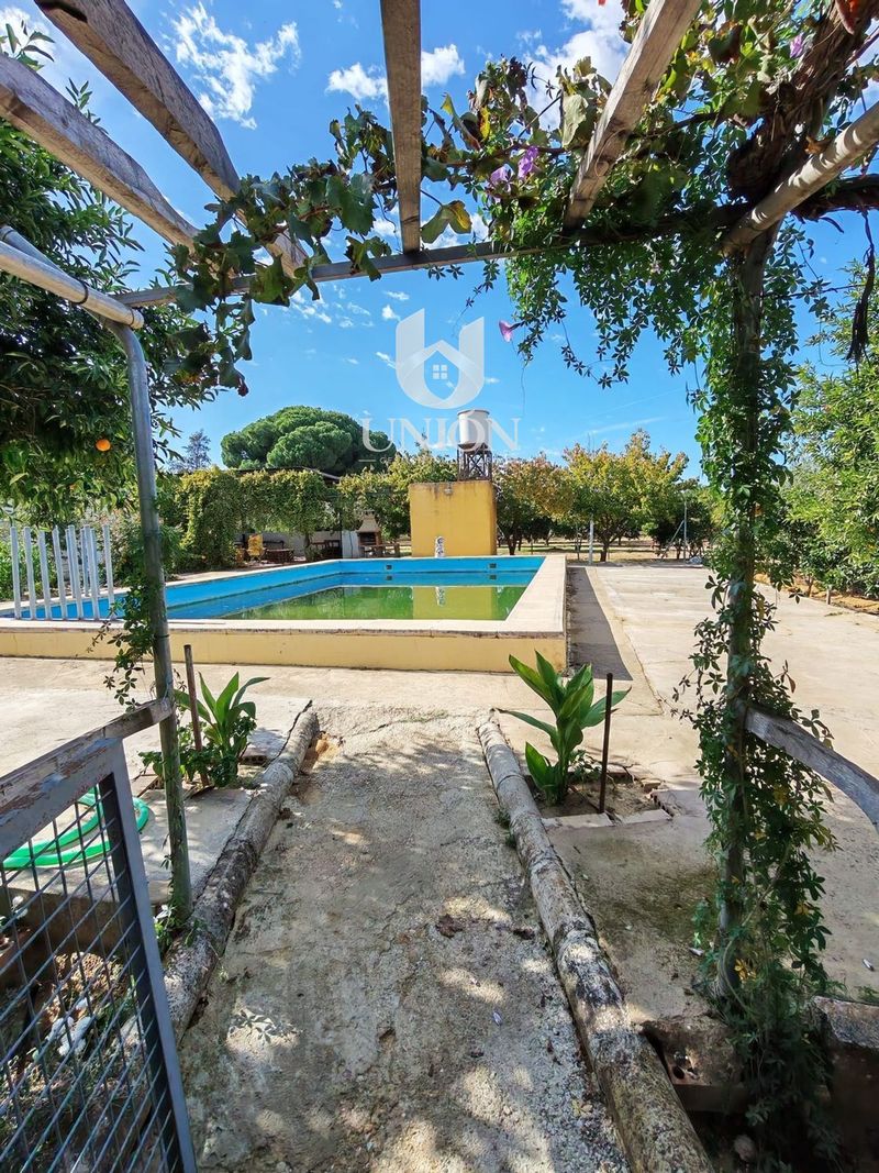 Chalet Independiente en venta Sevilla. Ref: 1024. UNION GESTION INMOBILIARIA