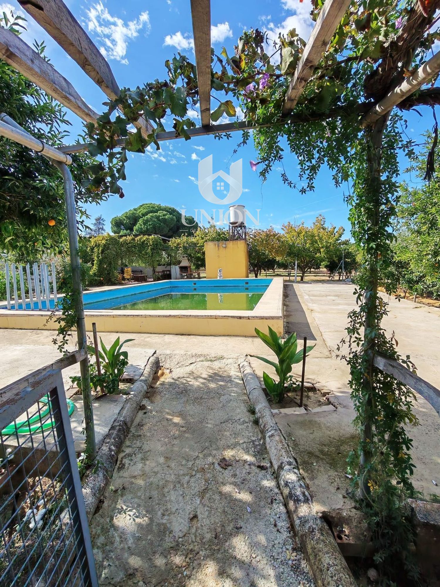 Finca rústica en venta en Marchena - Foto 1