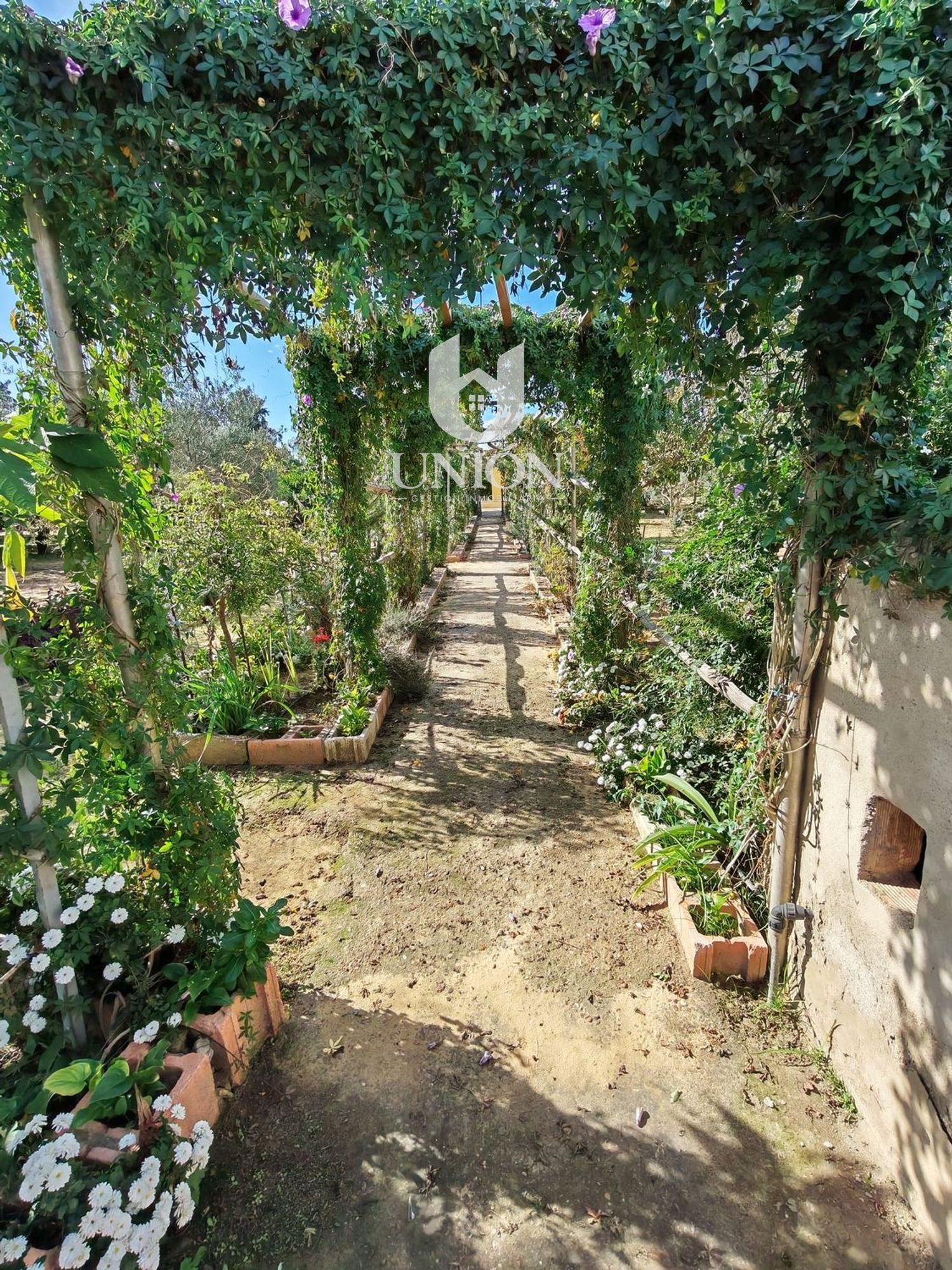Finca rústica en venta en Marchena - Foto 2
