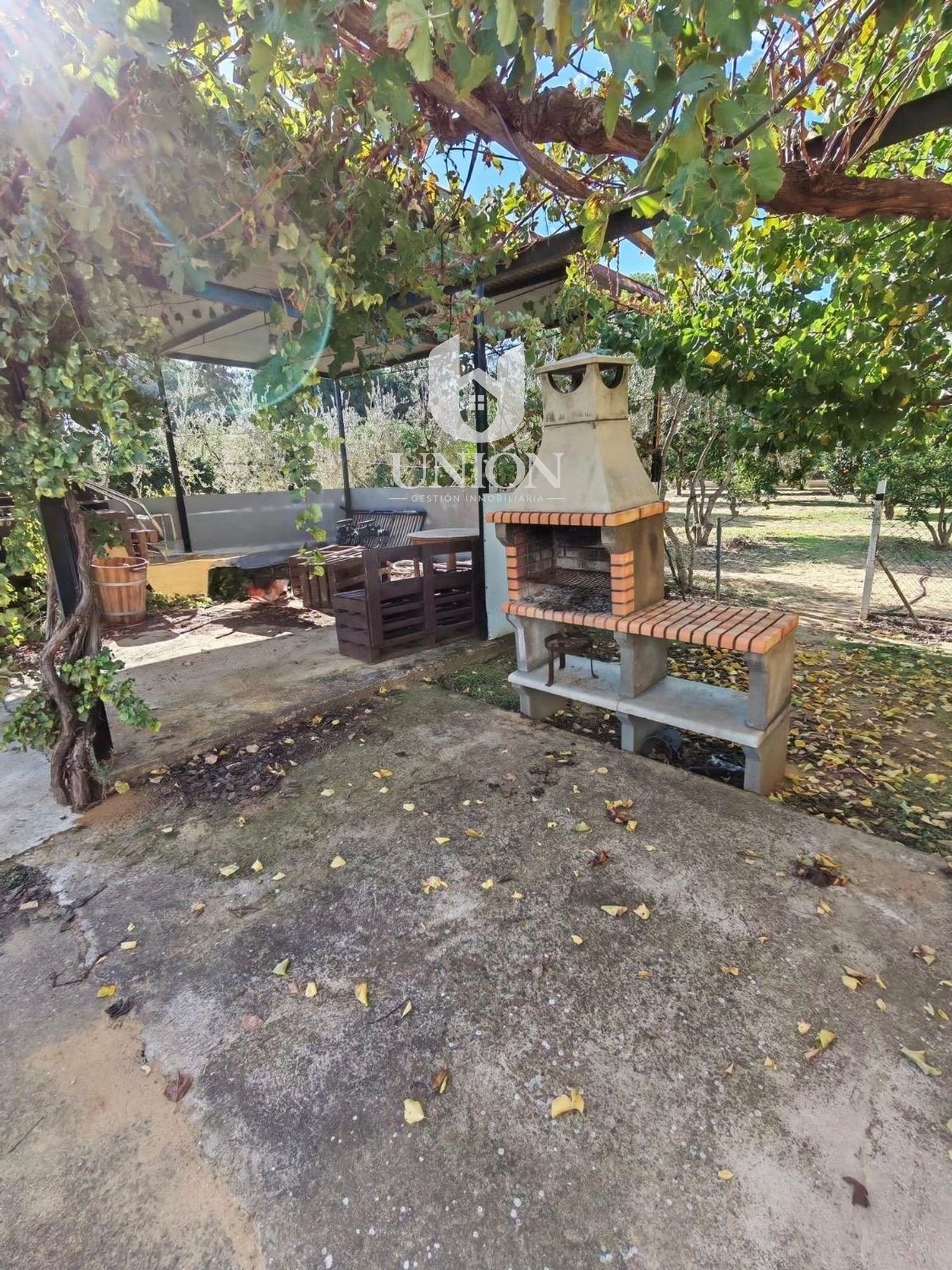 Finca rústica en venta en Marchena - Foto 5