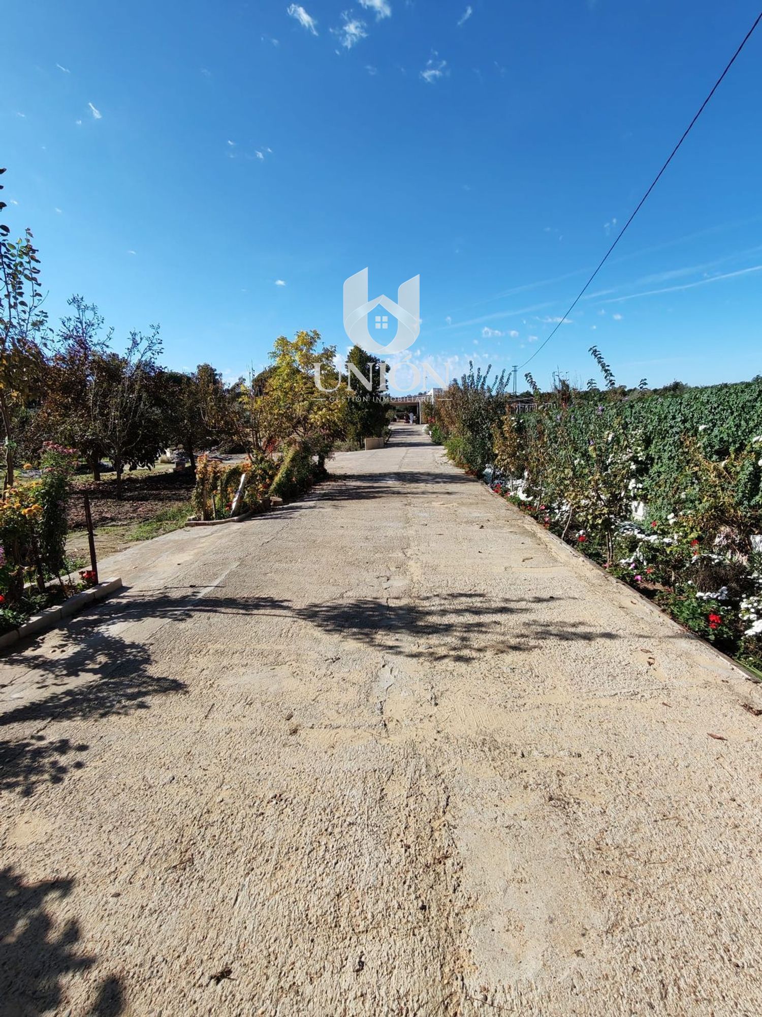 Finca rústica en venta en Marchena - Foto 6