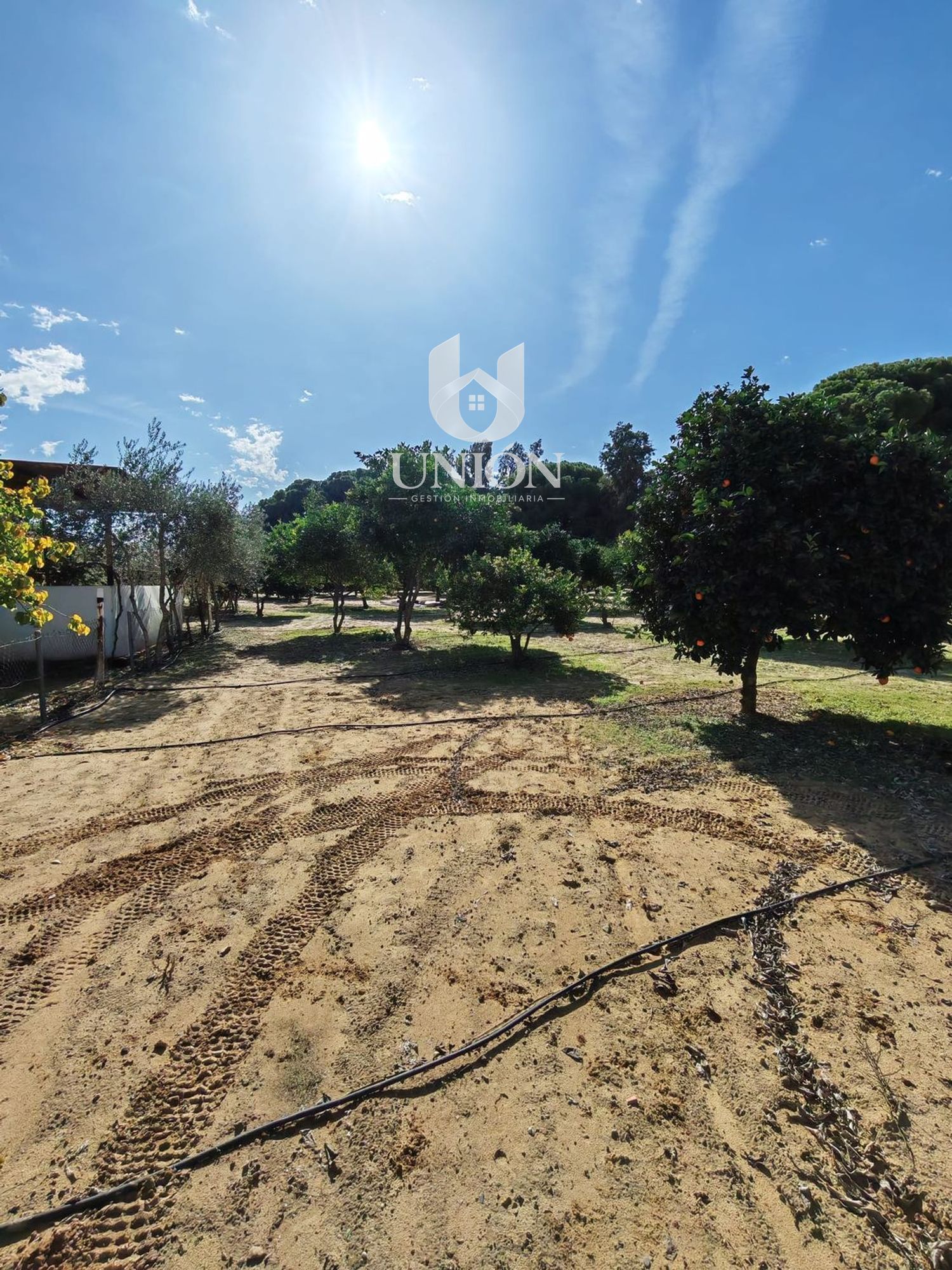 Finca rústica en venta en Marchena - Foto 22