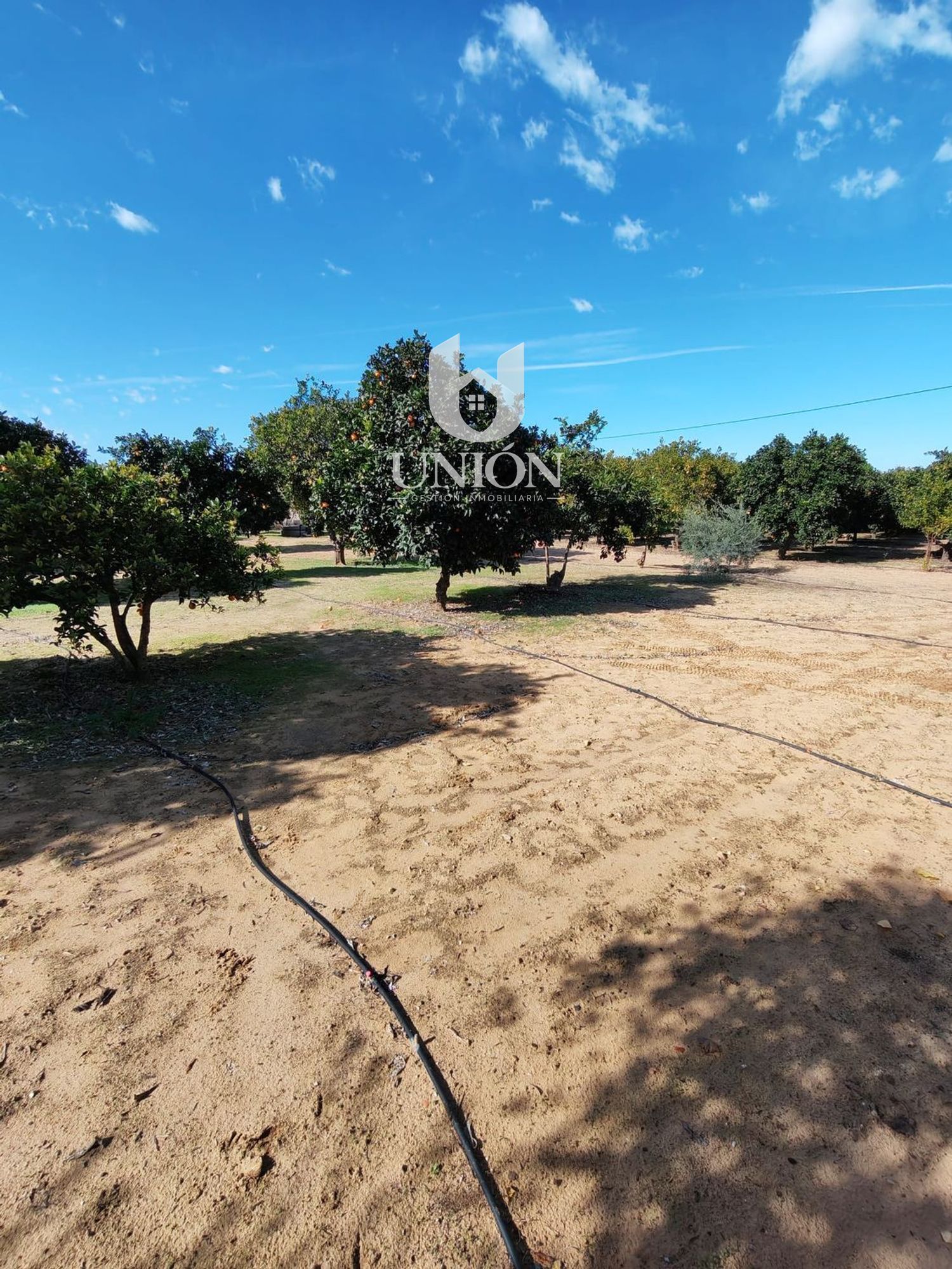Finca rústica en venta en Marchena - Foto 24