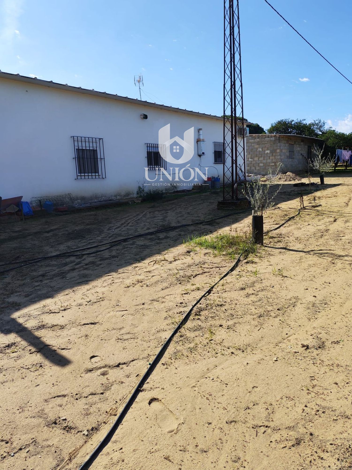Finca rústica en venta en Marchena - Foto 25