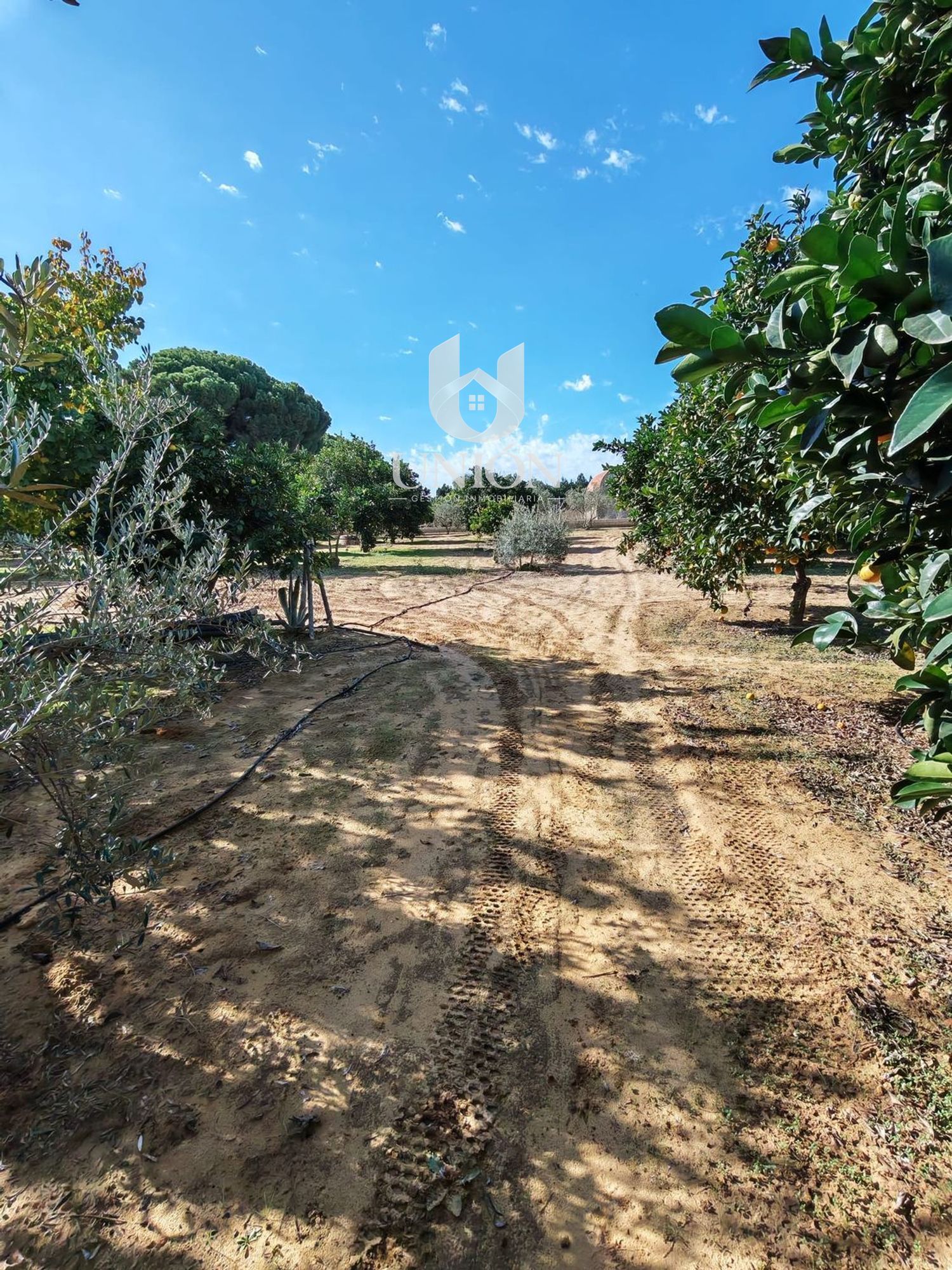 Finca rústica en venta en Marchena - Foto 26