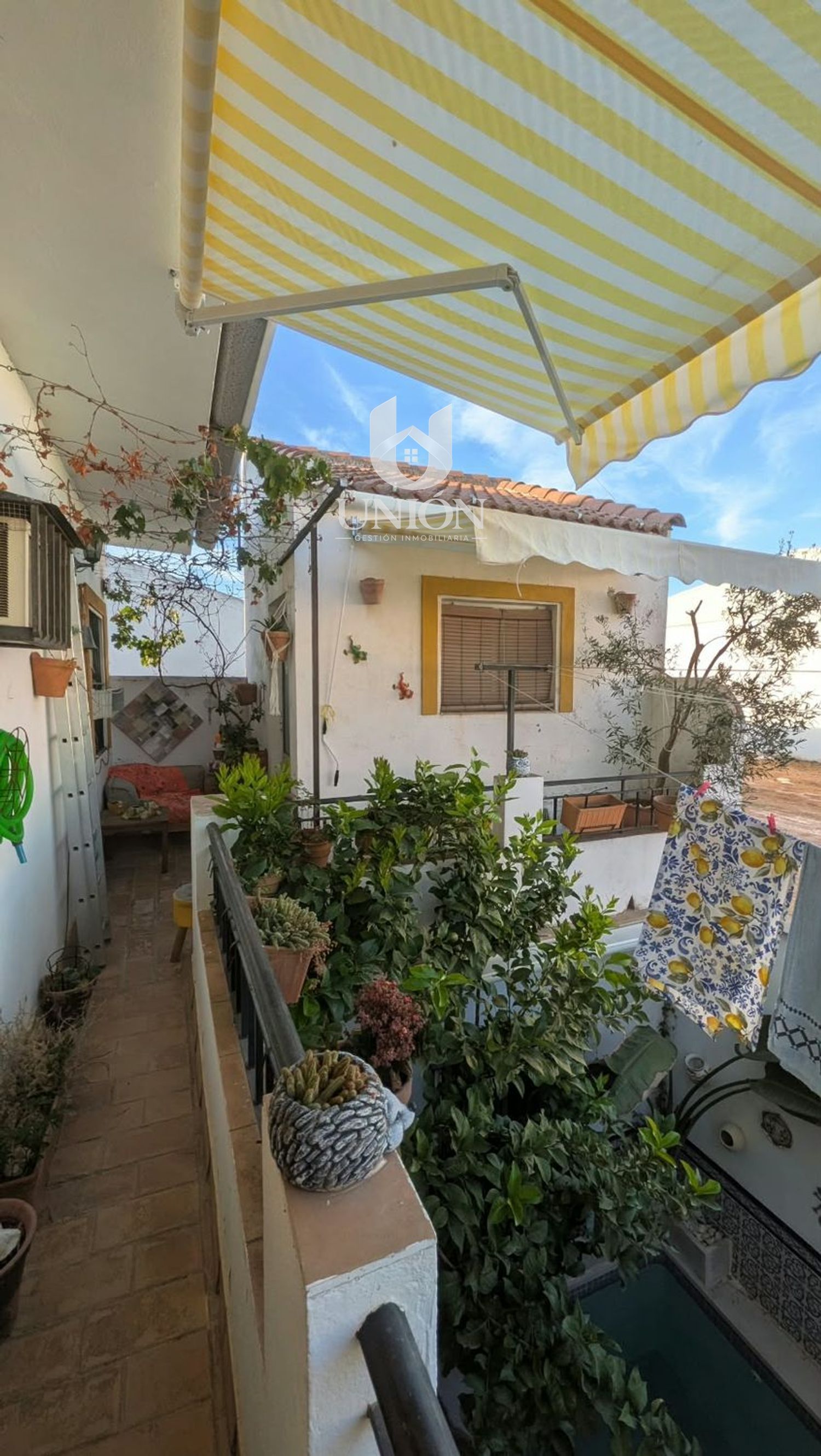 Casa en La Luisiana - Foto 50
