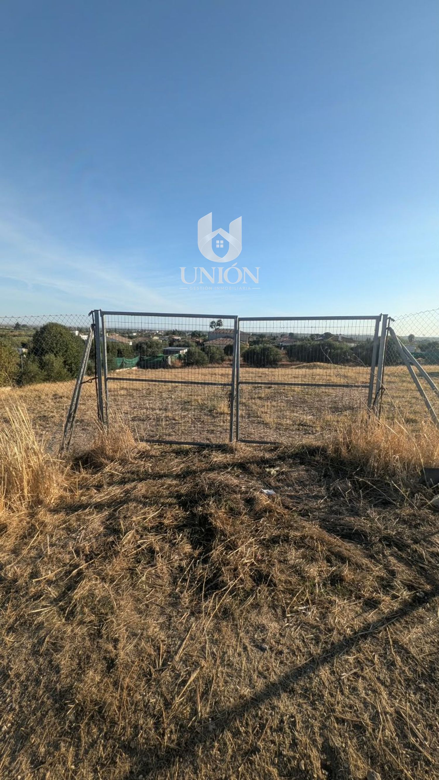 TERRENO EN CARRIL DEL PINO (CTRA. MARCHENA - LA PUEBLA) - Foto 5