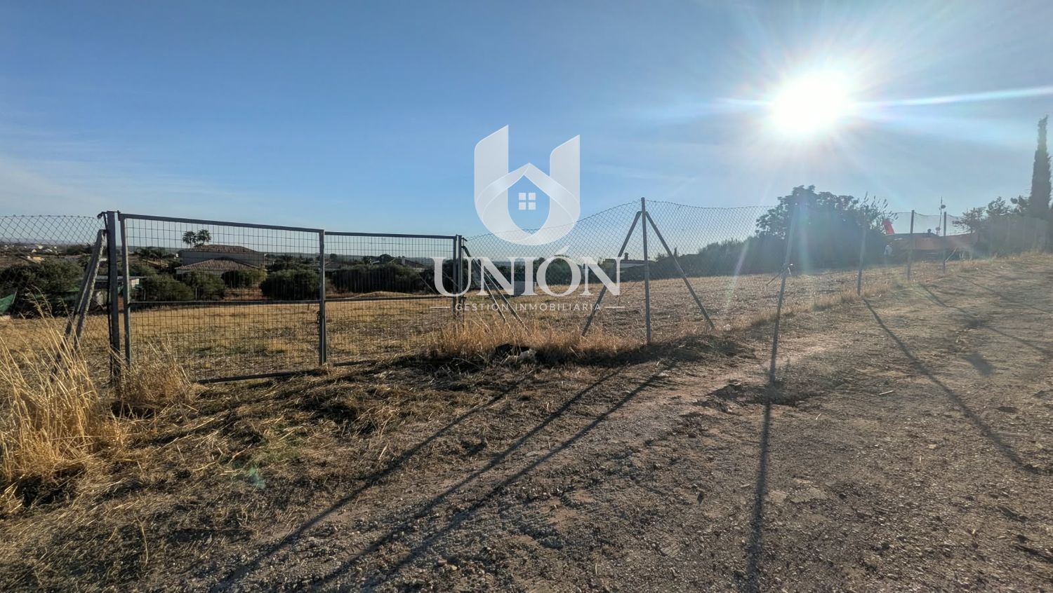 TERRENO EN CARRIL DEL PINO (CTRA. MARCHENA - LA PUEBLA) - Foto 6